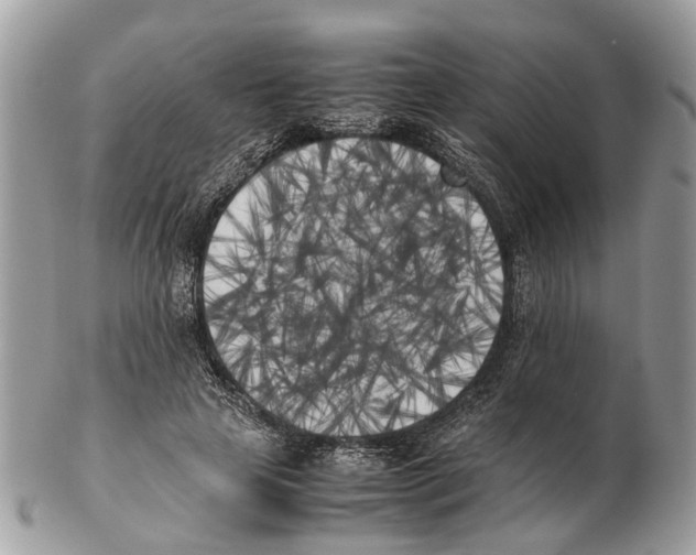 X0000102470641200809051334