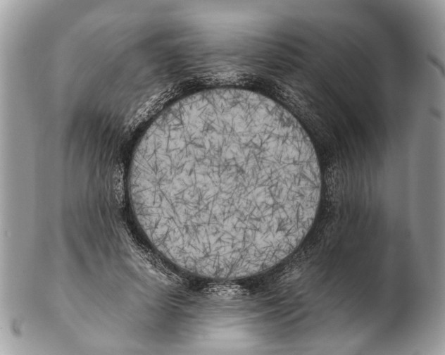 X0000102470642200809051334