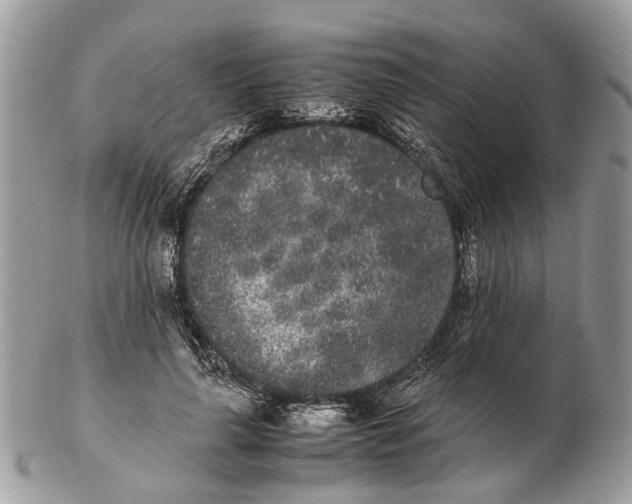 X0000102470643200809051334