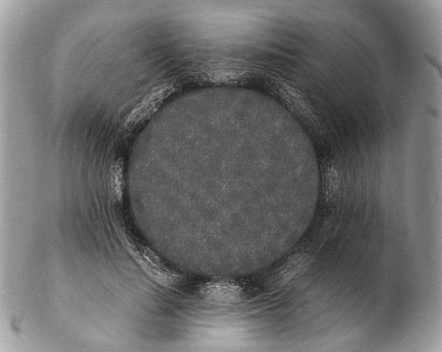 X0000102470644200809051334