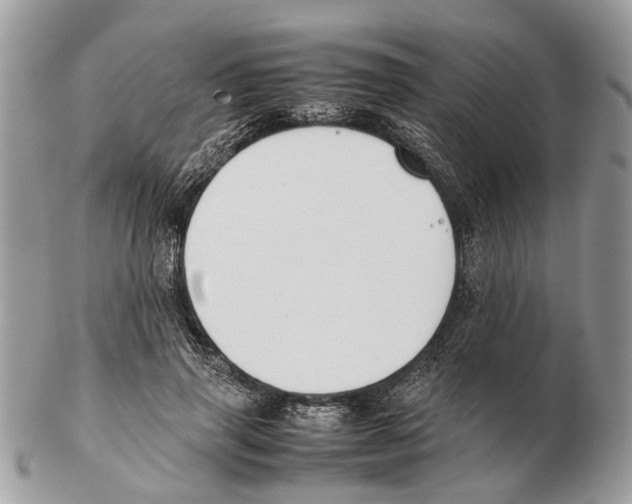 X0000102470645200809051334