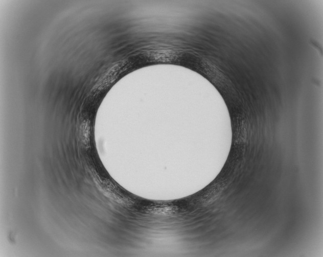 X0000102470646200809051334