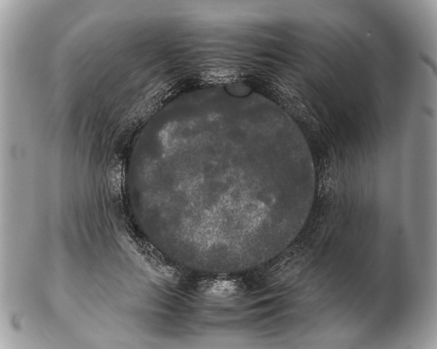 X0000102470647200809051334