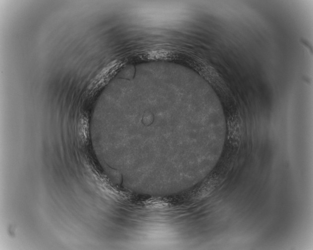 X0000102470648200809051334