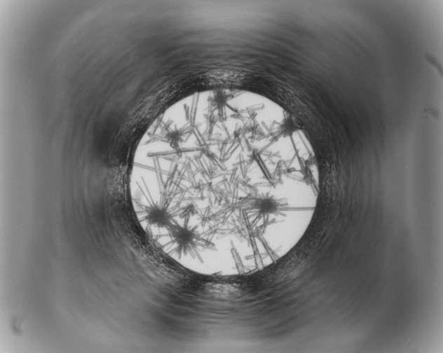 X0000102470649200809051334