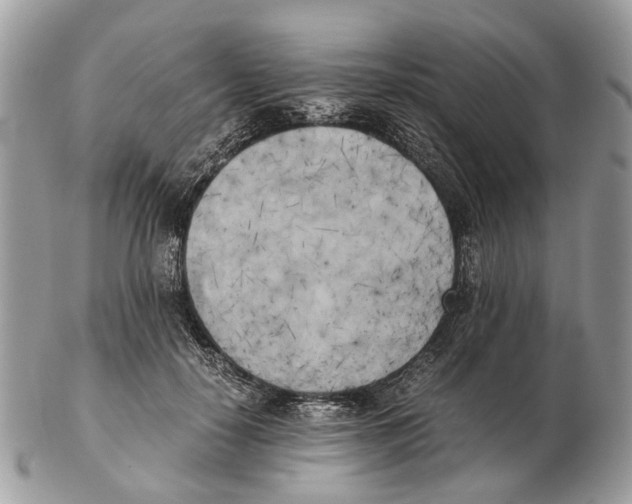 X0000102470650200809051334