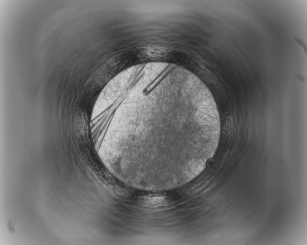 X0000102470651200809051334