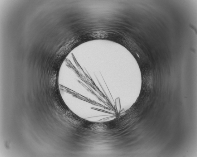 X0000102470652200809051334