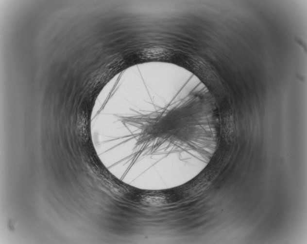 X0000102470653200809051334