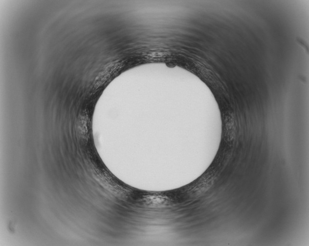 X0000102470654200809051334