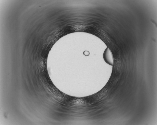 X0000102470655200809051334