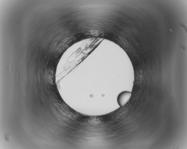 X0000102470656200809051334
