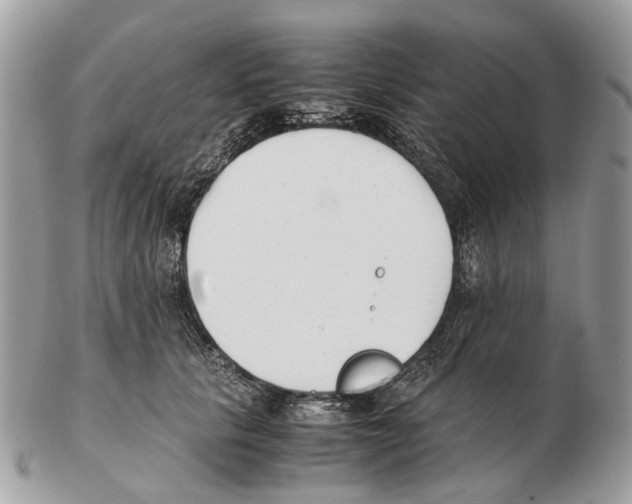 X0000102470657200809051334