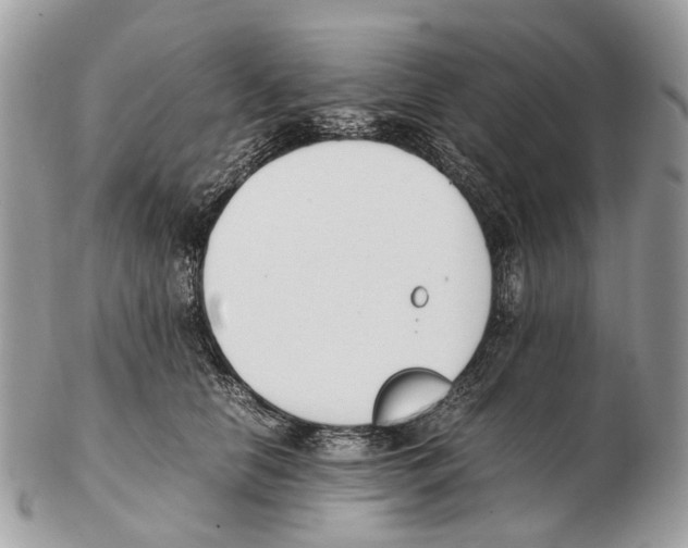 X0000102470658200809051334
