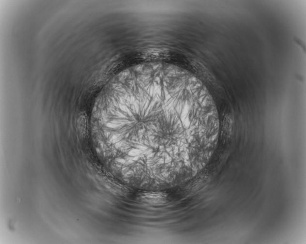 X0000102470659200809051334