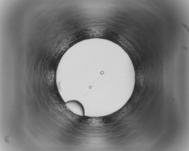 X0000102470660200809051334
