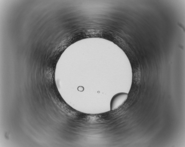 X0000102470662200809051334