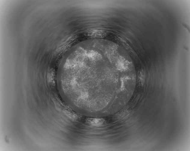 X0000102470663200809051334