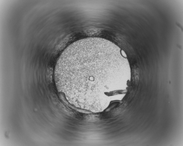 X0000102470664200809051334