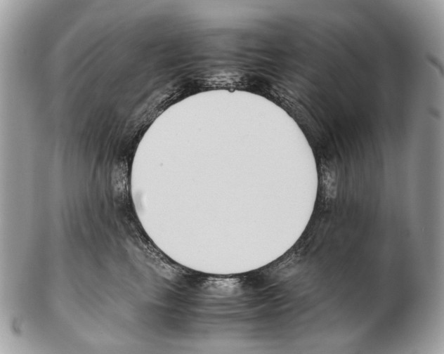 X0000102470665200809051334