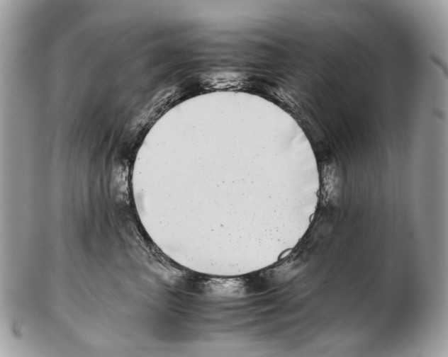 X0000102470667200809051334