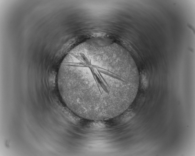 X0000102470668200809051334