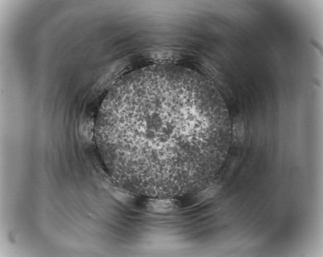 X0000102470671200809051334
