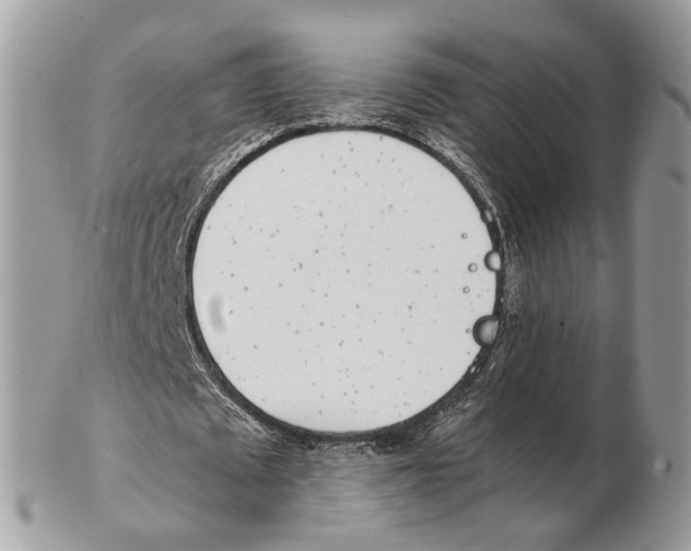 X0000102470673200809051333