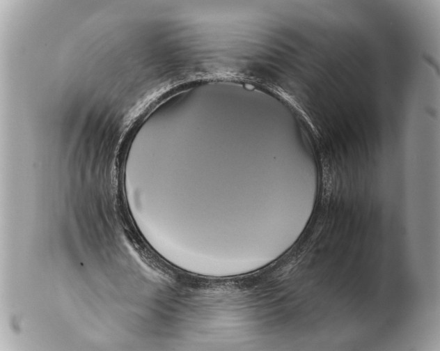X0000102470674200809051333