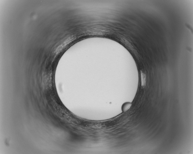 X0000102470675200809051333