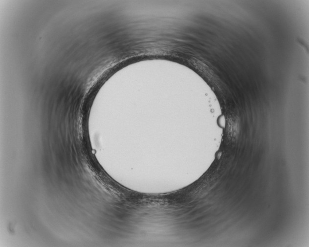 X0000102470676200809051333