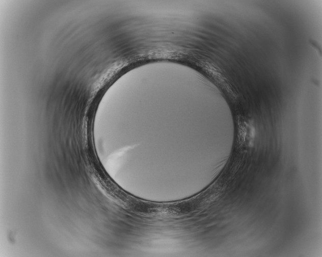 X0000102470678200809051333