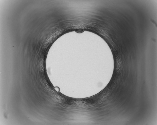 X0000102470681200809051333