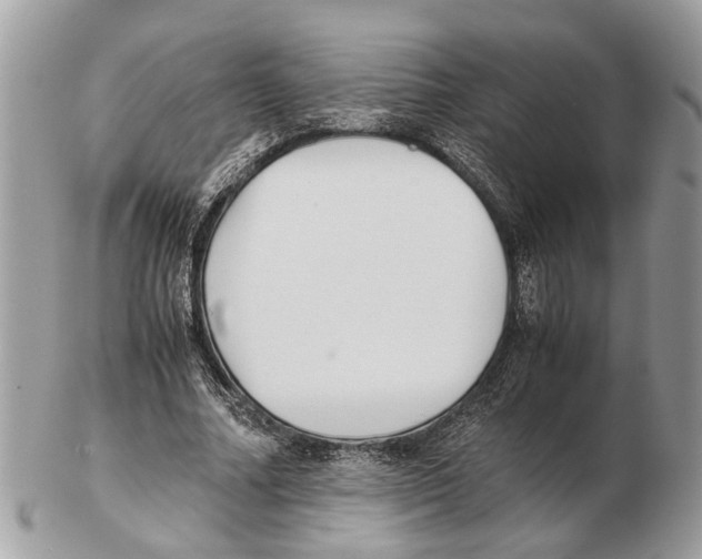 X0000102470682200809051333