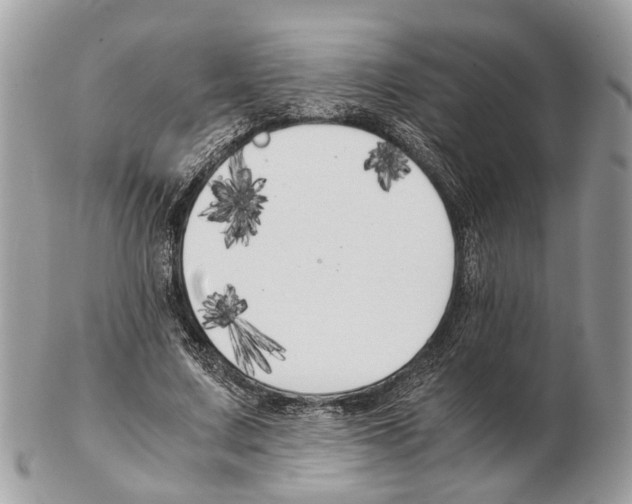 X0000102470683200809051333