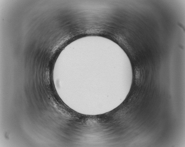 X0000102470684200809051333