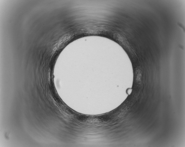 X0000102470685200809051333