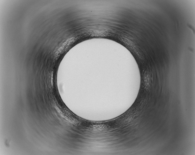 X0000102470686200809051333