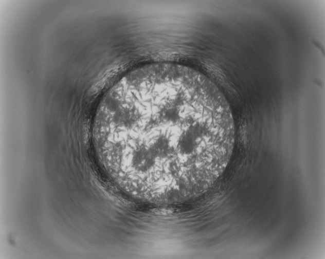 X0000102470687200809051333