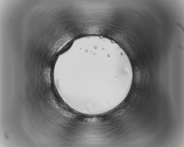 X0000102470688200809051333