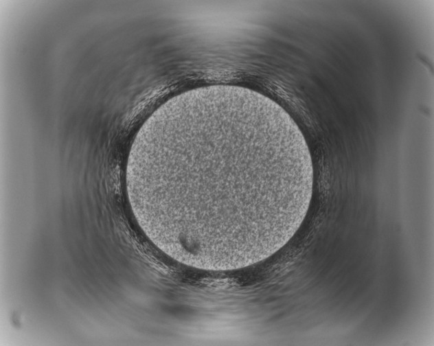 X0000102470689200809051333