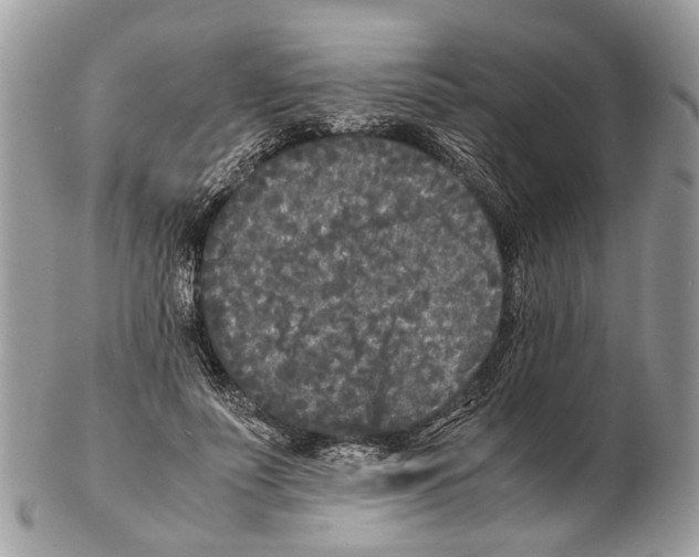 X0000102470691200809051333