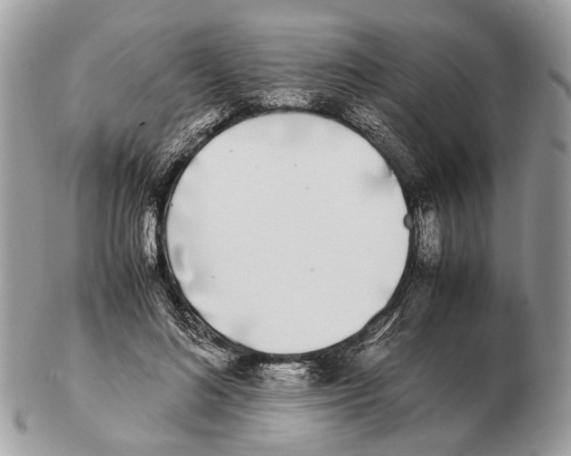 X0000102470692200809051333