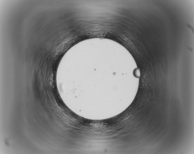 X0000102470693200809051333
