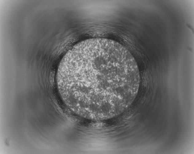 X0000102470695200809051333