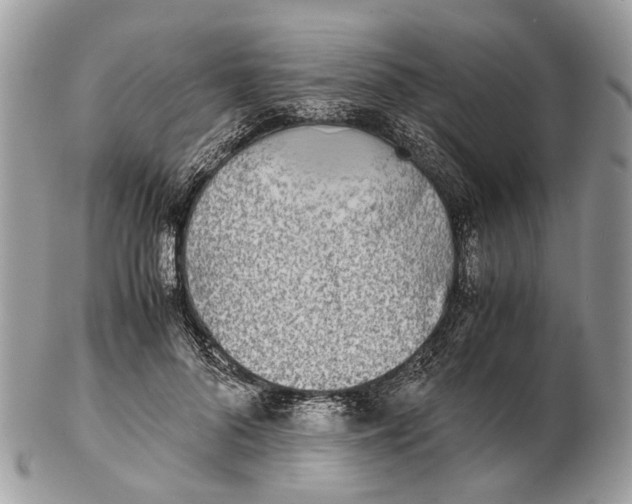 X0000102470696200809051333