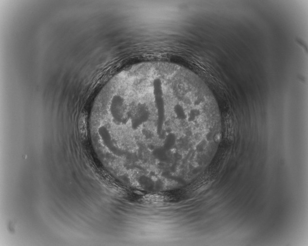 X0000102470699200809051333