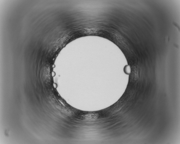 X0000102470700200809051333