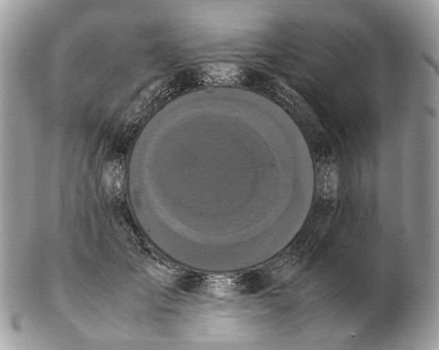 X0000102470701200809051333