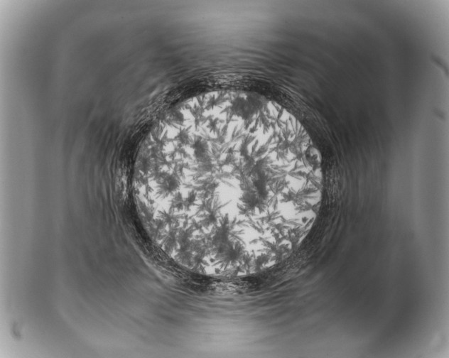 X0000102470703200809051333